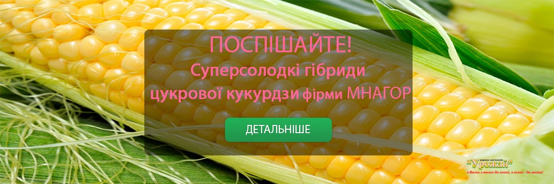 Сахарная кукуруза Мнагор