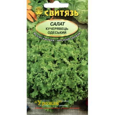 Насіння салат Кучерявець одеський, 10 г