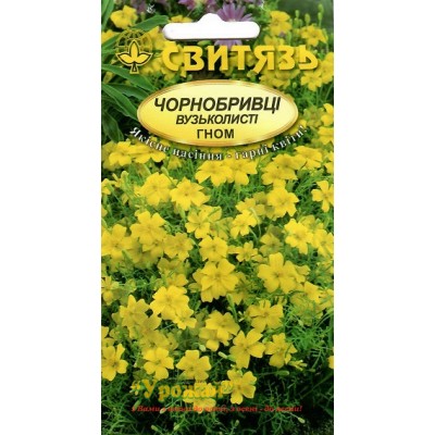 Насіння квіти Чорнобривці вузьколисті Гном, 0,2 г