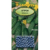 Насіння огірок Тітус F1 (дражоване), 50 насінин