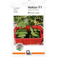 Семена огурец "Гектор F1",50сем (Nunhems)