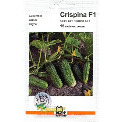 Семена огурец Криспина F1, 15 семян