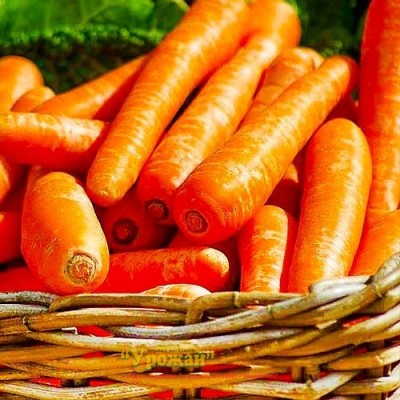 Семена морковь столовая Карлена, 250 г