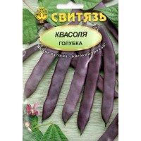 Насіння квасоля спаржева витка фіолетова Голубка, 15 г