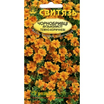 Насіння квіти Чорнобривці вузьколисті Темно-коричневі, 0,2 г