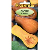 Семена тыква Новинка, 15 семян