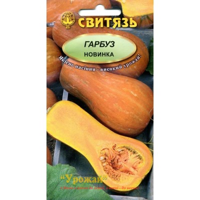 Семена тыква Новинка, 15 семян