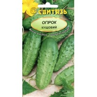 Семена огурец Кустовой, 1 г