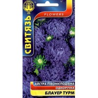 Насіння квіти Айстра китайська півонієподібна Блауер Турм, 0,3 г