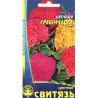 Насіння квіти Целозія гребінчаста, 0,2 г