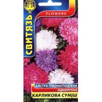 Семена цветы Астра китайская пивониевидная Карликовая смесь, 0,3 г