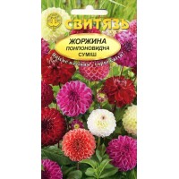 Семена цветы Георгина помпоновидная смесь, 0,5 г