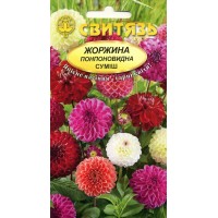 Насіння квіти Жоржина помпоновидна суміш, 0,5 г