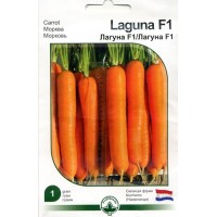 Насіння морква Лагуна F1 Профі, 1 г