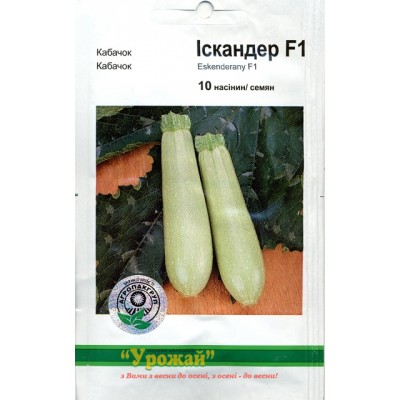 Семена кабачок Искандер F1, 10 семян