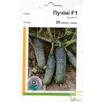 Насіння огірок Пучіні F1, 20 насінин