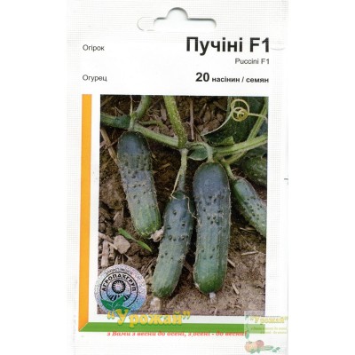 Насіння огірок Пучіні F1, 20 насінин