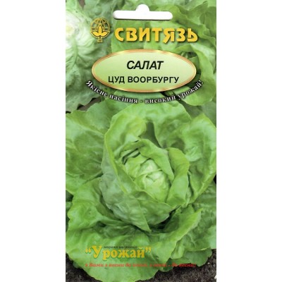 Семена салат Цуд Воорбургу, 0,5 г