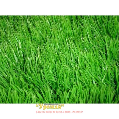 Насіння трава газонна Декоративний газон (UKR), кг