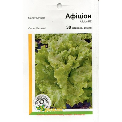 Насіння салат Афіцион, 30 насінин