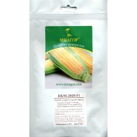 Насіння кукурудза цукрова НБМ 2020 F1, 200 насінин