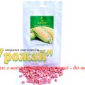 Насіння кукурудза цукрова Орландо F1, 200 насінин