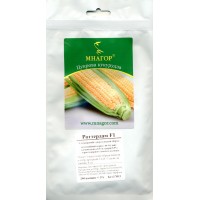 Семена кукуруза сахарная Роттердам F1, 200 семян
