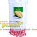 Семена кукуруза сахарная Джамала F1, 1000 семян
