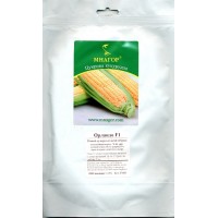 Семена кукуруза сахарная Орландо F1, 1000 семян