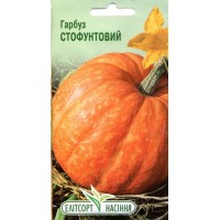 Семена тыква Стофунтовая, 12 семян