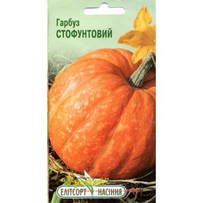 Семена тыква Стофунтовая, 12 семян