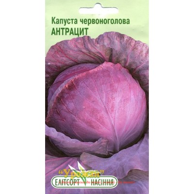 Насіння капуста червоноголова Антрацит, 0,5 г