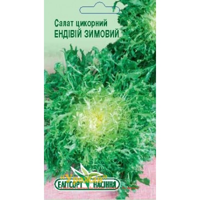 Семена салат цикорный "Эндивий зимний", 1г
