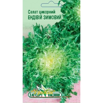 Насіння салат цикорний "Ендівій зимовий", 1г