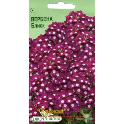 Семена цветы Вербена Блеск, 0,1 г
