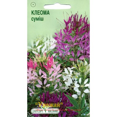 Насіння квіти Клеома суміш, 0,3 г