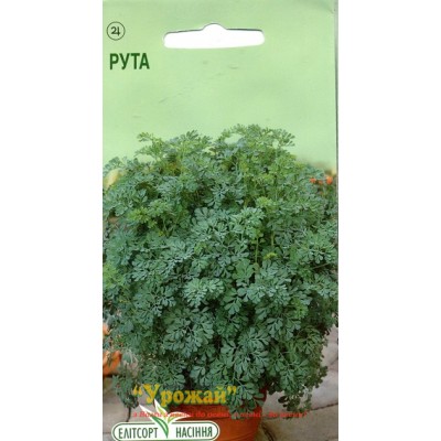 Насіння пряні Рута, 0,1 г