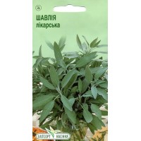 Насіння пряні Шавлія лікарська, 0,1 г