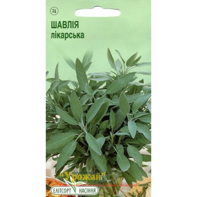 Насіння пряні Шавлія лікарська, 0,1 г