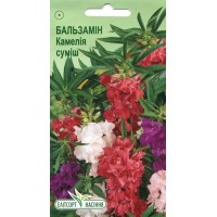 Семена цветы Бальзамин Камелия махровая смесь, 0,5 г
