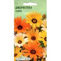 Насіння квіти Діморфотека, 0,2 г