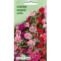 Насіння квіти Кларкія махрова суміш, 0,3 г