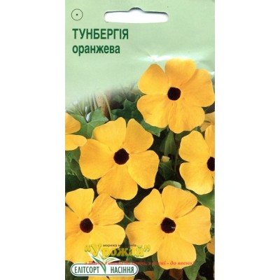 Насіння квіти Тунбергія оранжева, 10 насінин
