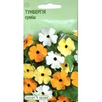 Насіння квіти Тунбергія суміш, 10 насінин