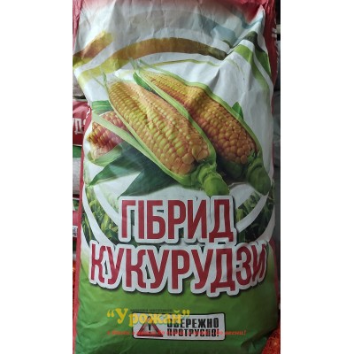 Насіння кукурудза на зерно гібрид Любава 279 МВ ФАО 270 (1 посівна одиниця), 25 кг