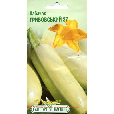 Семена кабачок Грибовский(Элитсорт) 37, 20 семян