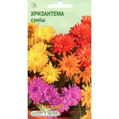 Насіння квіти Хризантема багаторічна суміш, 0,1 г