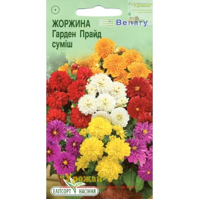 Семена цветы Георгина Гарден Прайд, 10 семян