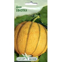 Насіння диня Ефіопка, 2 г