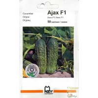Семена огурец Аякс F1, 50 семян